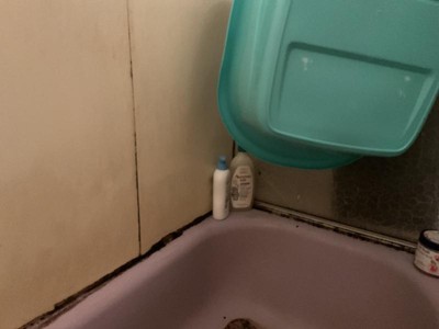 Guest review image 1 of 1, zoom in