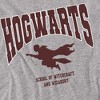Harry Potter Hogwarts Flying Adult T-Shirt Athletic Heather - 2 of 4