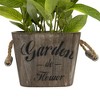 Northlight Artificial Olive Plant in Rustic Pot with Handles - 14" - image 3 of 4