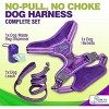 Gm Harness Leash Poo Bag Holder Set - 3 of 4