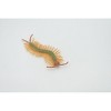 Collectible Wildlife Gifts | Centipede, Green, Arthropods, Museum Quality, Hand Painted, Rubber Chilopoda, Model,  Toy, Gift,  3"   CH518 BB158 - 4 of 4
