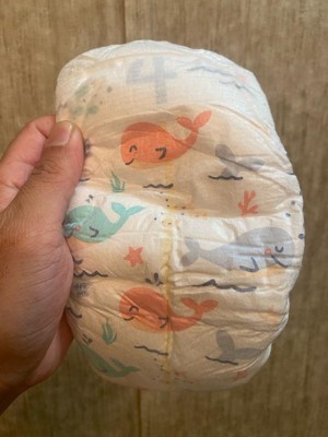 Guest review image 3 of 4, zoom in