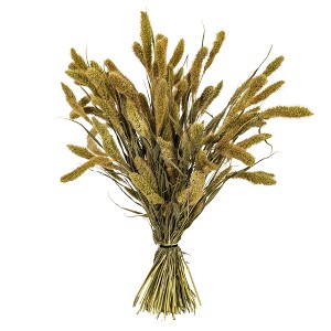 Vickerman 26" Dried Setarea Bunch, 6 oz. - 1 of 3
