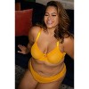 Curvy Couture Women's Mesh High Cut Brief Panty Sunset Glow - 4 of 4