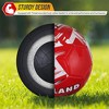 Vizari Mini National Team Soccer Balls - 4 of 4