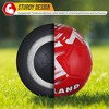 Vizari Mini National Team Soccer Balls - image 4 of 4