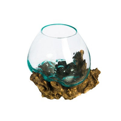 Evergreen Glass Planter on Driftwood