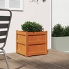 vidaXL Garden Planter - Outdoor Decorative Flower Box, Solid Pine Wood, 19.7" x 19.7" x 19.7", Wax Brown Finish - 3 of 4