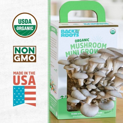 Organic Pearl Oyster Mushroom Mini Grow Kit for Indoor Gardening