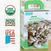 Back to the Roots Organic Mushroom Mini Grow Kit Pearl Oyster - image 3 of 4