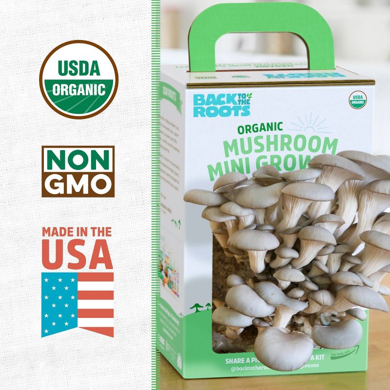 Back to the Roots Organic Mushroom Mini Grow Kit Pearl Oyster, 4 of 12