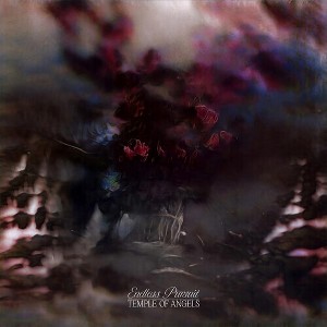 Temple of Angels - Endless Pursuit - Cloudy Clear (Vinyl) - 1 of 1