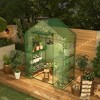 Orieon 57"x29"x77" Walk-In Greenhouse with 2 Windows, Cover, 4-Tiers & Anchors for Indoor/Outdoor Use. - 4 of 4