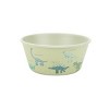 Kids' Dinosaur 5-Piece Melamine Mealtime Set - 3 of 4