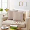 REGALWOVEN Solid Chenille Soft Couch Throw Pillow Covers for Sofa Living Room Home Decor 2 Pcs - 2 of 4