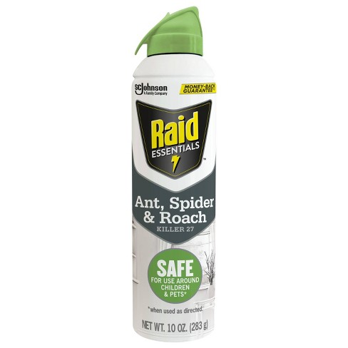 Raid Essentials Ant, Spider & Roach Killer Aerosol - 10oz : Target