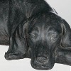 Sullivans Labrador Dog Tabletop Figurine 6"H Black - 2 of 4