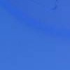Glazed Cobalt