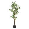 Okak 69IN Artificial Ficus Tree with Black Plastic Pot, Easy Maintenance Faux Plants with Real-Life Look, Faux Tree for Living Room, Green - 3 of 4