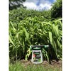 Fertilome Chameleon Hose End Sprayer, Natural, 32 oz. - 3 of 4