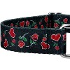 Country Brook Petz Martingale Dog Collar - Affection Collection - 4 of 4
