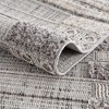 Hauteloom Naivasha Elegant High/Low Area Rug - 3 of 4