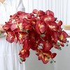 REGALWOVEN Real Touch Decor Artificial Phalaenopsis Flowers 26.4" 12 Pcs - 3 of 4