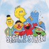 Sesame Street Bert And Ernie Oscar The Grouch Big Bird Newborn Baby ...