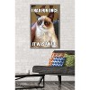 Trends International Grumpy Cat - Fun Framed Wall Poster Prints - 2 of 4
