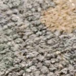 charcoal, gray, tan, medium gray, blue