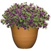 Classic Home and Garden Indoor/Outdoor Round Honeysuckle Resin Flower Pot Planter - 2 of 4