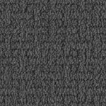 san francisco giants