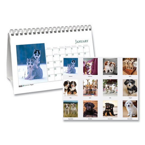 Earthscapes Recycled Desk Tent Monthly Calendar, Puppies Photography, 8.5 x 4.5, White Sheets, 12-Month (Jan to Dec): 2025 - image 1 of 3