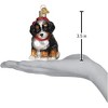 Old World Christmas Glass Blown Ornaments for Tree, Bernedoodle Puppy - 4 of 4