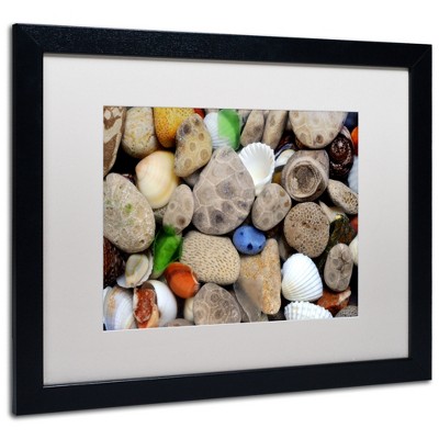 Trademark Fine Art -Michelle Calkins 'PetoskeyStones lll' Matted Framed Art