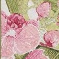 green/pink