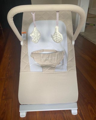 Baby Delight Alpine Deluxe Portable Bouncer : Target