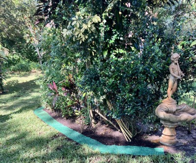 Guest review image 2 of 2, zoom in