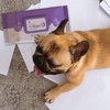 Pursonic Lavender Scented Pet Wipes – 12 Packs of 100 (1200 Total) Extra Large Wipes for Gentle Cleaning & Deodorizing - 3 of 3