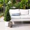 Nearly Natural 3-ft Artificial Cedar Tree in White Planter UV Resistant (Indoor/Outdoor) - image 4 of 4