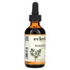 Eclectic Herb ParaFight Glycerite, 2 fl oz (60 ml) - 4 of 4