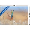 Trends International The Comedy Wildlife Photography Awards: Anup Deodhar - Rockstar Unframed Wall Poster Prints - 3 of 4