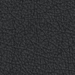 washington state cougars