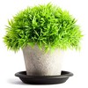 Juvale 24 Pack Small Plastic Plant Saucers for Pots, 4 Inch Drip Tray for Planter, Indoor, Outdoor Flowers, Black - 4 of 4