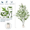 Acekool Artificial Eucalyptus Tree, Faux Olive Tree Indoor with White Pot, Slender Leaves, Home Office Living Room Decor, Low Maintenance - 3 of 4