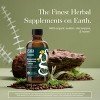 Gaia Herbs Bronchial Wellness Syrup - Immune Support to Help Maintain Lung Health and Help Provide Comfort for Occasional Sore Throat - 5.4 Fl Oz - 3 of 4