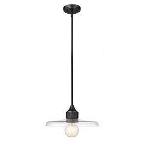Z-Lite Paloma 1 - Light Pendant in  Matte Black - 1 of 4
