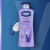 Vaseline Intensive Care Calm Healing Lotion - 20.3 fl oz - image 4 of 4