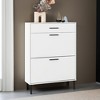 Freestanding Shoe Storage Cabinet with 2 Flip Drawers and Metal Legs - Leovsnove - 2 of 4