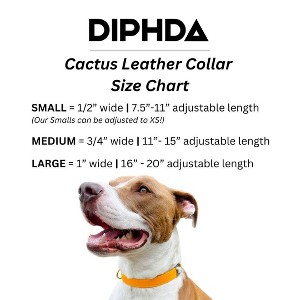 DIPHDA Luxury Pet Collar Charm Set – Durable Eco-friendly Vegan Cactus Leather Dog Collar & Cat Collar w/ Onxy Crystal Charm - 1 of 4